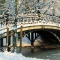 Frozen Bridge
