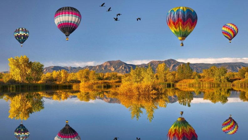 hot_air_balloons_and_geese_reflected_in_a_lake.jpg