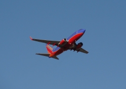 Southwest 737 Flyer