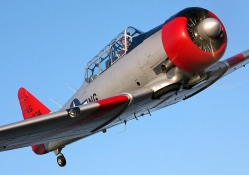 USAF WWII T_6 Texan Trainer