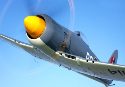 Hawker Sea Fury~ WWII