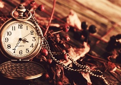 quartz pocket watches and dried berries