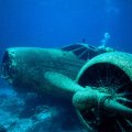 Lockheed L_188 Electra Wreck