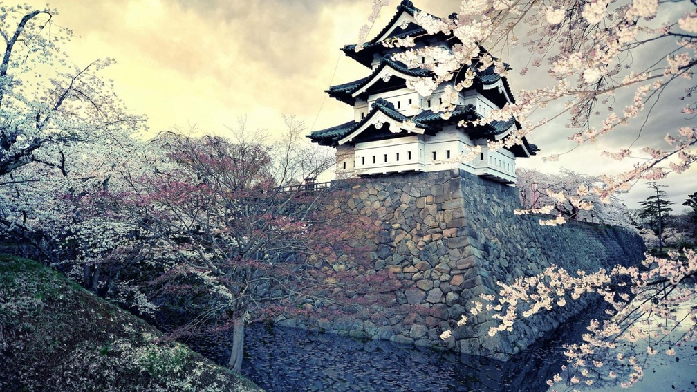ancient japanese castle in spring
