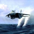 F_14 Tomcat Skimming the Water