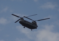 Chinook in the Sky