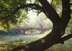 bridge in nyc central park