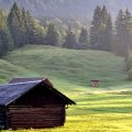 wooden cabin in the meadow