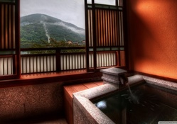 japanese bathroom with a view