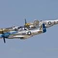 P 51 Mustang Bald Eagle and Moonbeam McSwine