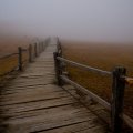 wooden path into the fog