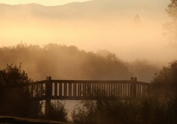 Bridge at Mist