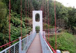 Suspension bridge
