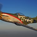 WWII P_51 Warplane