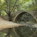 Reflected Stone Bridge