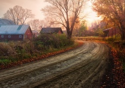 beautiful country farm road