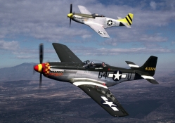 Two WWII American P_51