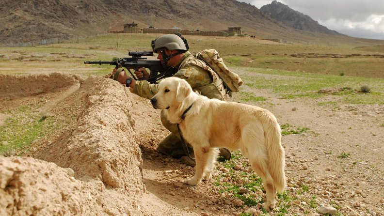 infantryman_and_his_dog.jpg