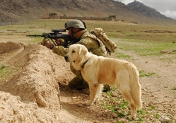 Infantryman and his dog