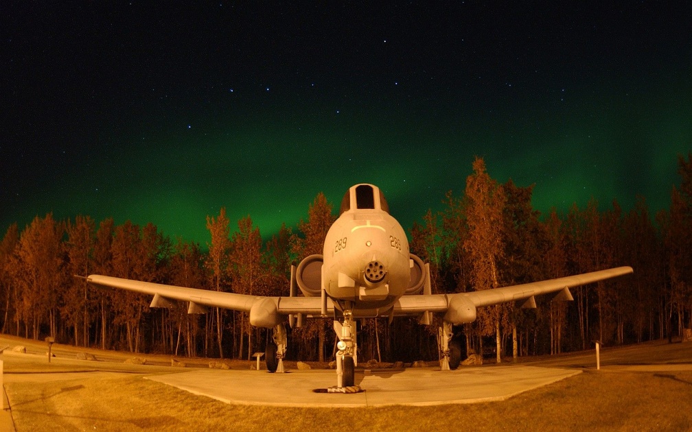 Airplane in the Forest