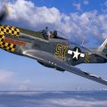 P51 Mustang fighter