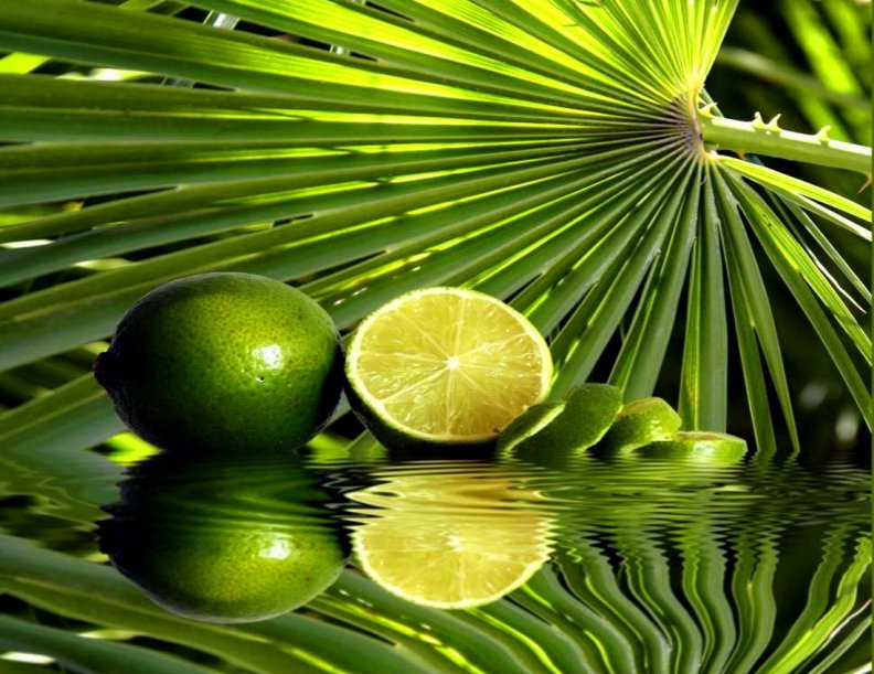 Lemons reflection