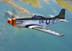 P51 Wee Willy II