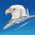 aircraft and eagle