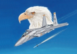 aircraft and eagle