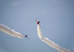 Two Red Arrows