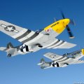 P51 Formation