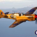 Curtiss P40_N Kittyhawk