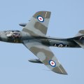 Hawker Hunter T 7 Trainer