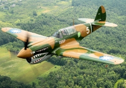 Curtiss P_40 Warhawk (Taiwan Markings)