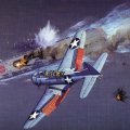 Battle of Midway : Akagi vs. SBD Dauntless.