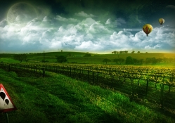 Hot Air Balloons Landscape