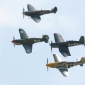Kittyhawk, Corsair, Spitfire and Mustang