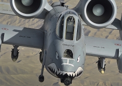 That Warthog's hungry.