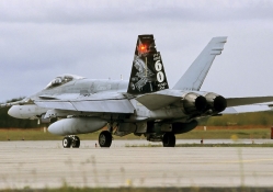 Canadian CF 18A Hornet