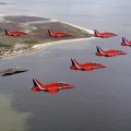 The Red Arrows & The Raptor.