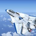 F_14 Tomcat FSX
