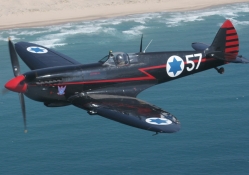 the black spitfire,pic4