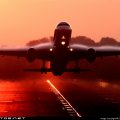 Taking Off at Sunset