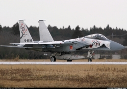 JAPAN F_15 EAGLE