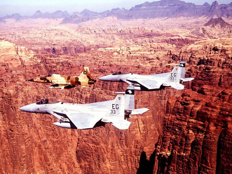 f15_eagles_over_canyon.jpg