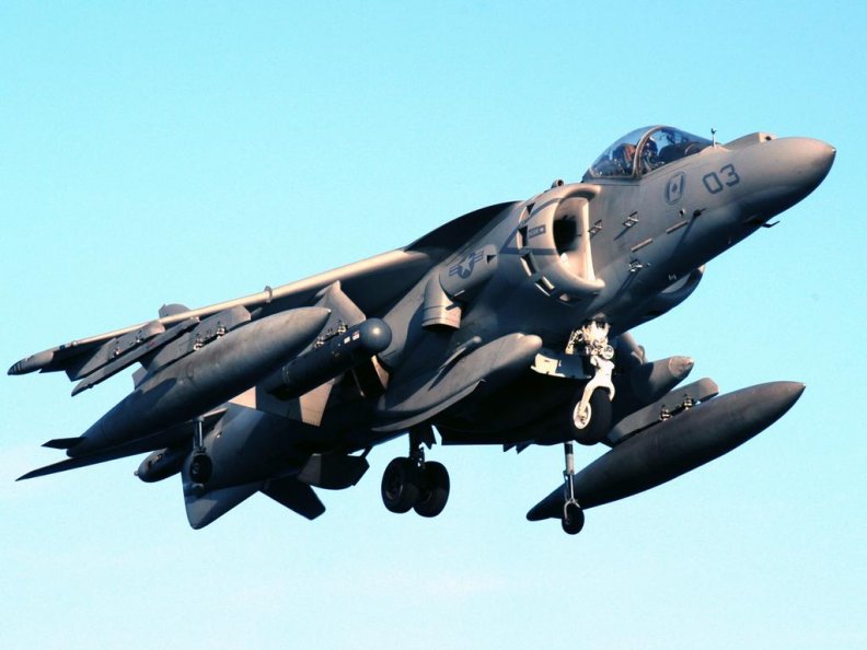 Harrier hovers