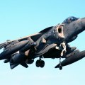 Harrier hovers
