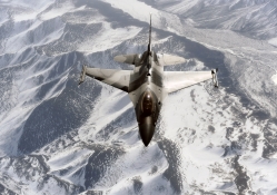 F 16 Falcon in Aggressor Camo