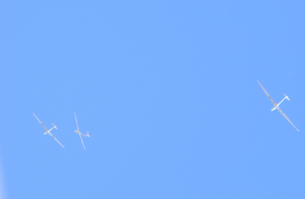 Gliders on a sunny day,