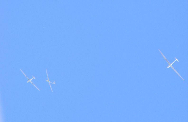 gliders_on_a_sunny_day.jpg